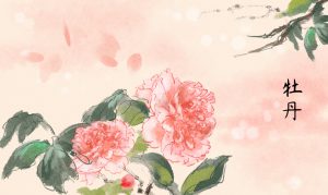 四月，牡丹花綻放|金迪克2022年4月優(yōu)秀質(zhì)量獎獲得者風(fēng)采展示